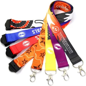 Premium Satin Nylon Keychain and Lanyard Combo for Gatherings