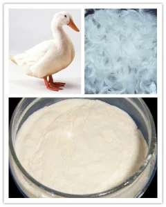 Hydrolyzed Animal Protein