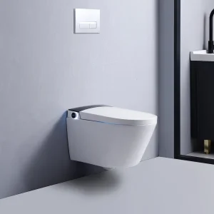 High Quality Tankless Toilet