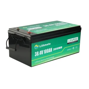OEM 36V 100Ah Lithium Battery for Boat
