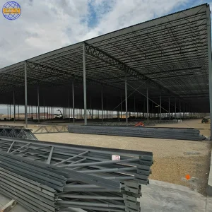 Customizable Heavy-Duty Steel Structure