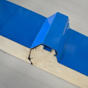 Polyurethane Sandwich Panel
