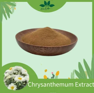 Chrysanthemum Extract