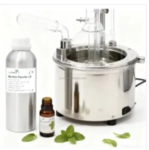 Mentha Piperita Oil