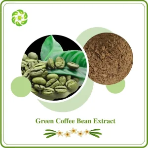 Biotecnologia do Bem-Estar Mundial 15%-50% Ácidos Clorogênicos Extrato de Grão de Café Verde