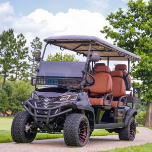4 Passenger Golf Cart Full Set