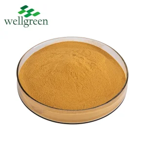 Natural Herbal Extract Bulk Sale Food Additive Instant Green Tea Powder