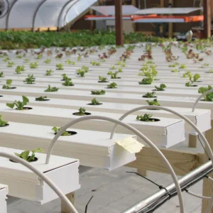 Hydroponic System