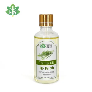 Best Hairui Factory Tea Tree Essential Oil