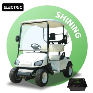 Shininglsv Cart Enclosure Rain Curtain Utility Car Mini 2 Seater Golf Cart
