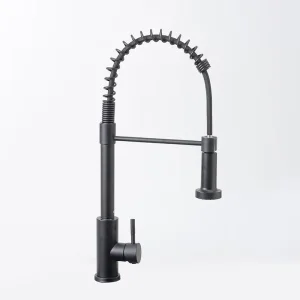 Cheap SUS304 stainless steel spring pull-out telescopic kitchen faucet Supplier, Suppliers
