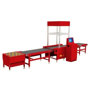 Good Quality Bar Code Scanner Software Scanning Barcode Chinese Belt Restaurant Dynamic Parcel Sorting Conveyor DWS System