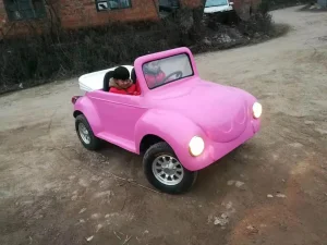 Side-by-Side UTV 4X4 1500W Farm ATV off Road Vehicle for Sale