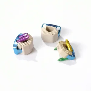 Canwell Spinal Cage