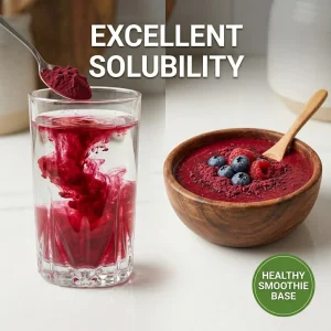 Organic Beet Root Powder Natural Beetroot Extract Hot Selling Vegan Superfood for Food Beverage Dietary and Sports Supplements