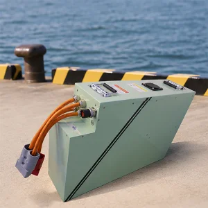 51.2V 300Ah Superyacht Lithium Battery System Fish Farming Marine Power DNV Standard Long Life Custom OEM ODM Factory Bulk Price