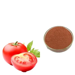 Wholesale Natural Lycopene Tomato Peel Extract Powder for Men Health Dietary Supplement Manufacturer, Exporters