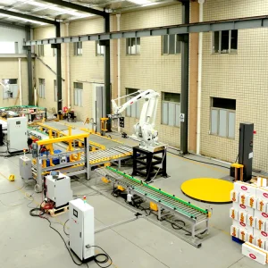 Robotic Palletizer