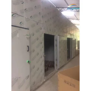 Restaurant Walk-In Vegetable Freezer