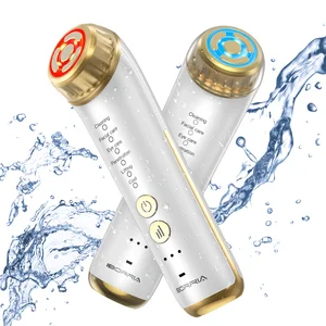 Custom 3 Gears Face Lifting Device Face Massager Beauty Equipment Home Use EMS Microcurrent Facial Toning Device