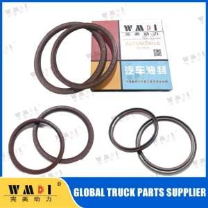 Oil Seal
