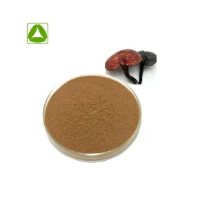 Organic Natural Adaptogen for Energy and Vitality Reishi Extract 20: 1