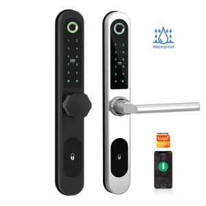 Enrique Tuya Biometric Smart Lock