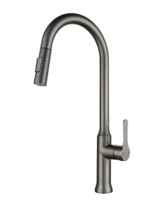 Kitchen Faucet