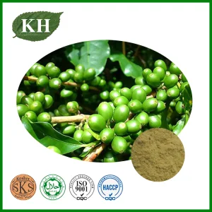 Extrato de Grão de Café Verde da Kingherbs Limitada