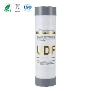 10 Inch UDF Coconut Shell Carbon Filter Remove Chlorine Odor For Under Sink RO Purifier