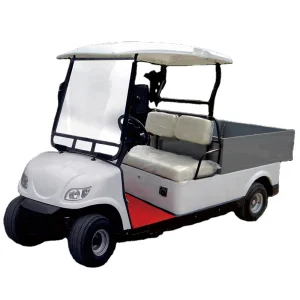 Wholesale 2 Seater Utility Truck Mini Vehicles Electric Golf Cart Cargo Electric Golf Cart