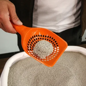 Wholesale Cat Litter