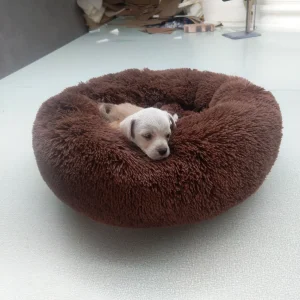 Cama para perros super grande y cómoda para todas las estaciones, con cojín acolchado para perros pequeños y grandes, asiento para perros en el coche