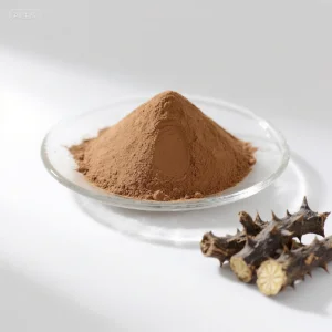 Chinese Eleutherococcus Senticosus Extract
