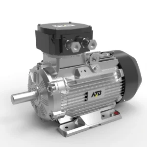 Permanent Magnet Synchronous Motor, Wepm Series Variable Speed Drive Motor for Machinery