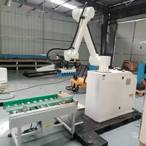 New 30KG Controlled Motorized Palletizing Robot Intelligent Robot Arm Palletizer Stacker With Conveyor