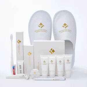 Disposable Hotel Toothbrush Kit