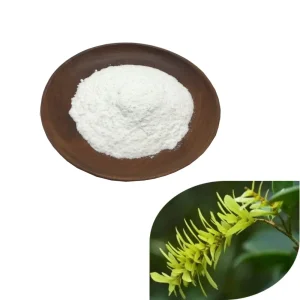 Wholesale Astilbin Powder
