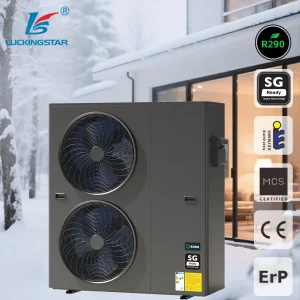 R290 Heat Pump