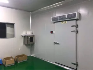 Xingx Popular Used Light Steel Structure House/Warehouse/Workshop/Sports Center/Cold Storage