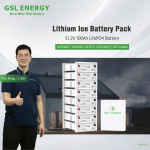 LiFePO4 Battery