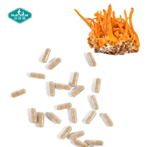 OEM Herb Plant Blend Sustained Energy Metabolic Activation Vegan Capsules