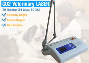 Veterinary Device Animal CO2 Medical Laser Pet Surgical CO2 Laser Machine