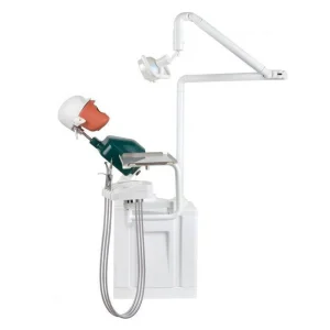Dental Simulator Manikins Phantom Head Simulation Unit for Students Teaching Training Compatible with Nissin Kilgore/Frasaco