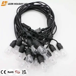 Hot Sale Outdoor Intelligent Led Smart Festoon Light for Holiday Decoration Garden Decoration