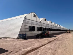 Advanced Automatic Chicken Floor Raising System for Poultry Farming