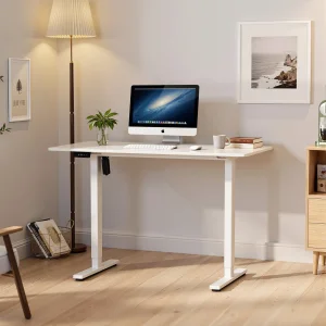 Prorials Home Office Computer Game Noise Stable Heavy Duty Durable Standing Desk