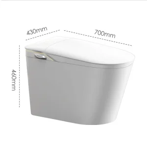 New Model Floor-Standing Bidet Smart Toilet with Light Special Button