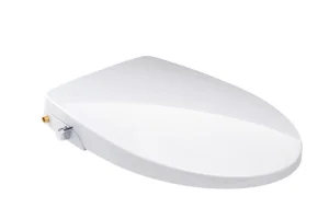 Bathroom Product Non Electric Unique Bidet Toilet Seat CB3601