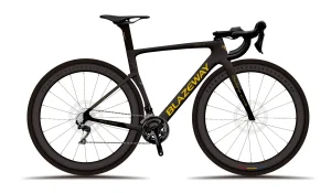Bicicleta Carbono OEM 700c